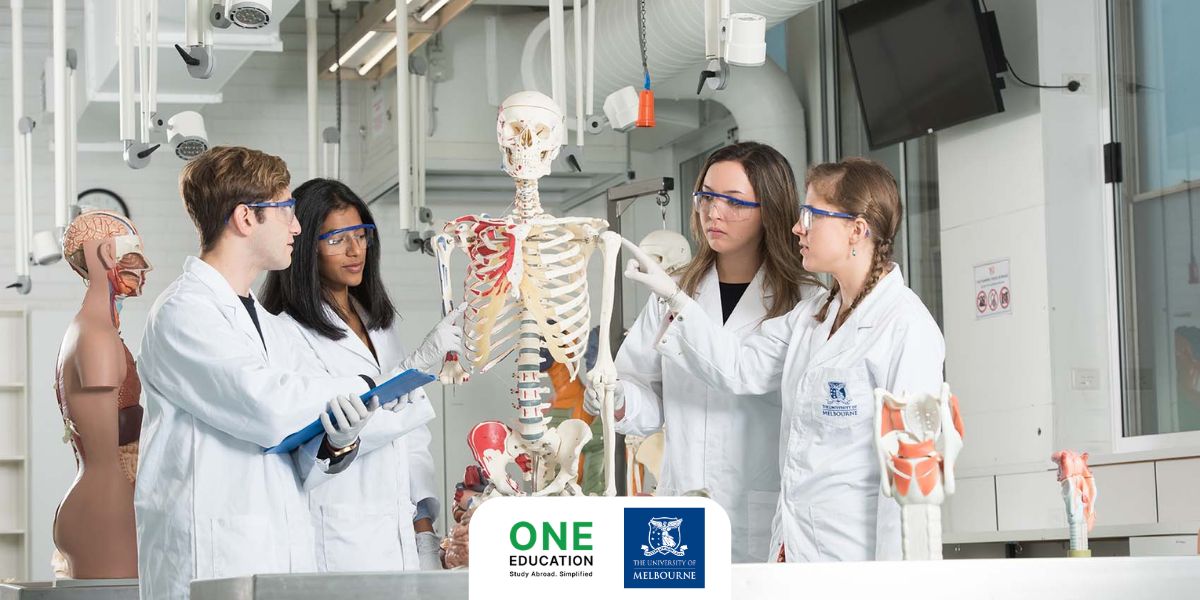 Bachelor of Biomedicine - University of Melbourne