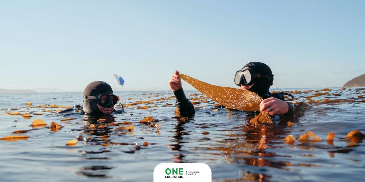 Marine Science & Ocean Science - Adventure Courses