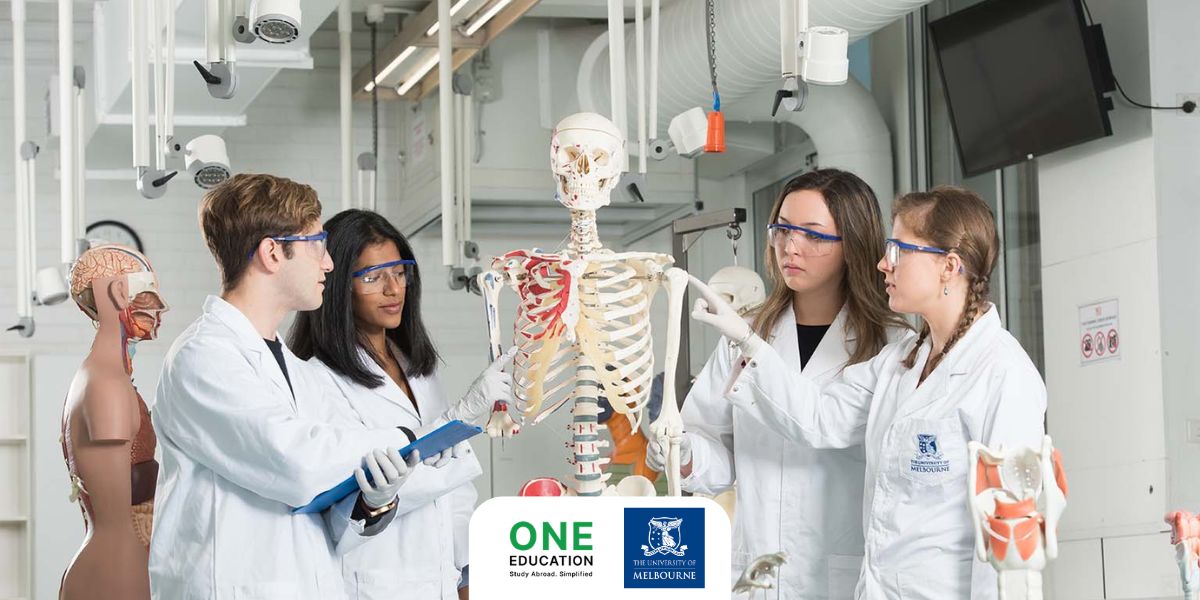 Bachelor of Biomedicine - University of Melbourne