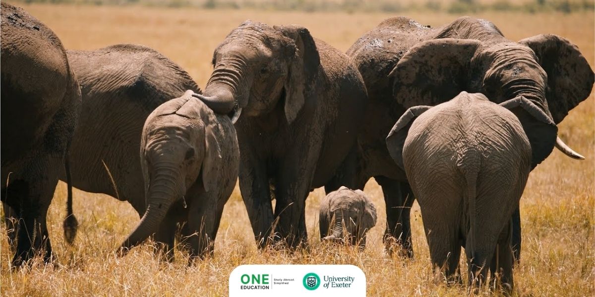 University of Exeter - MSc Conservation and Biodiversity