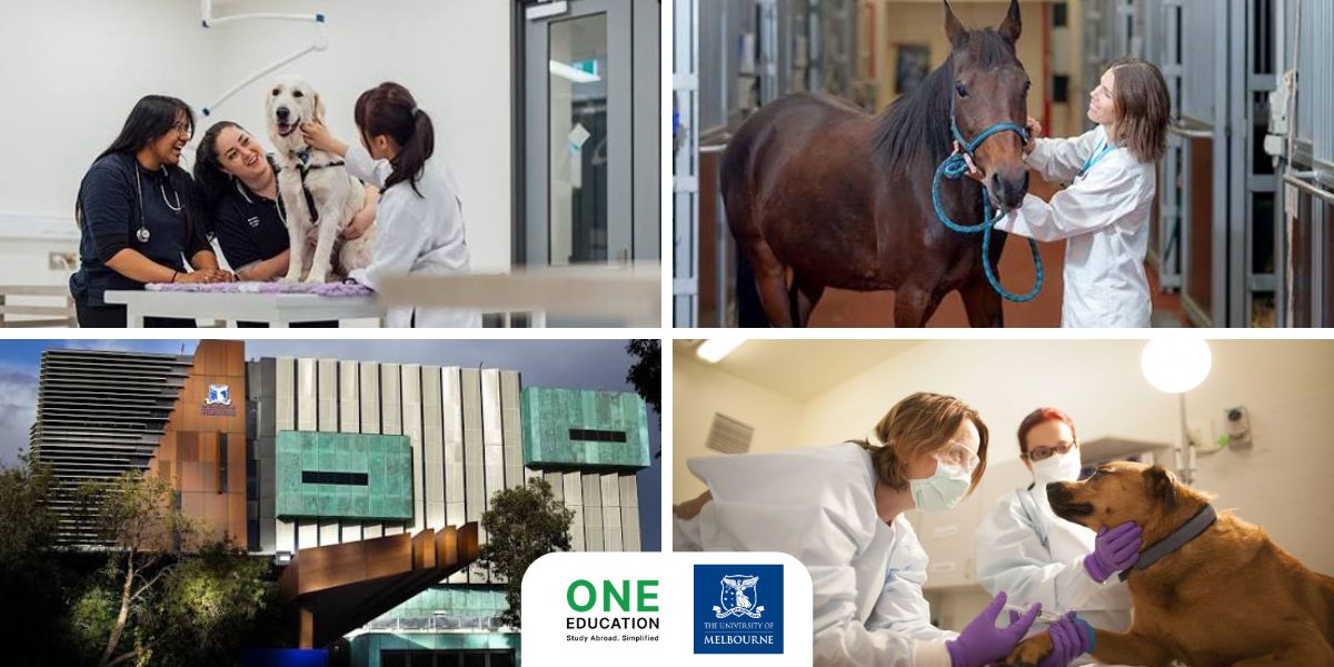 เรียน Veterinary Science ที่ University of Melbourne