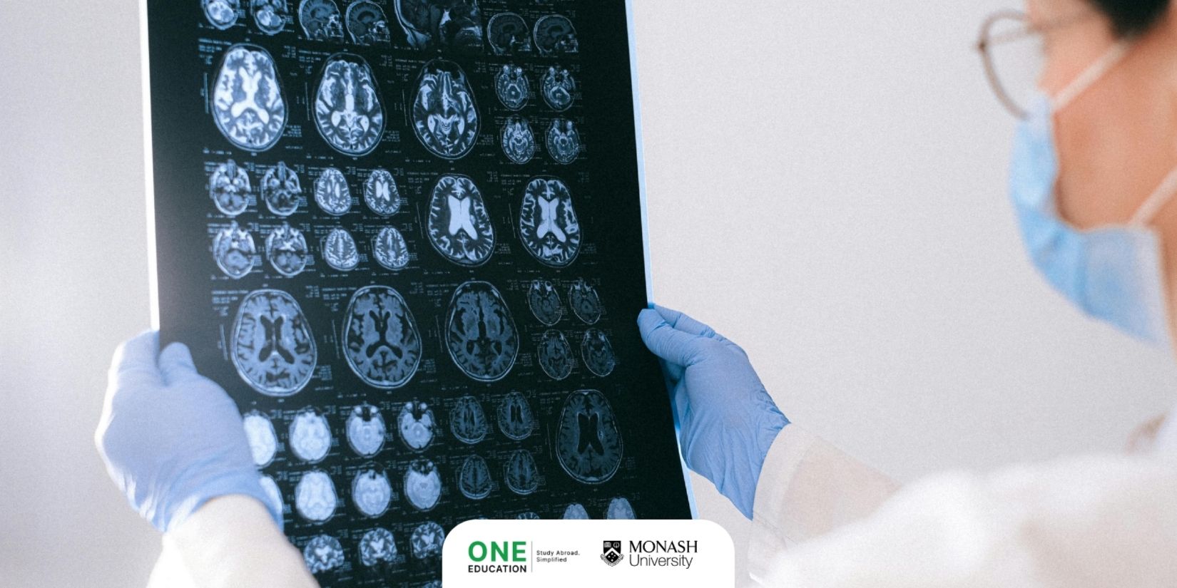 Monash University - Neuroscience