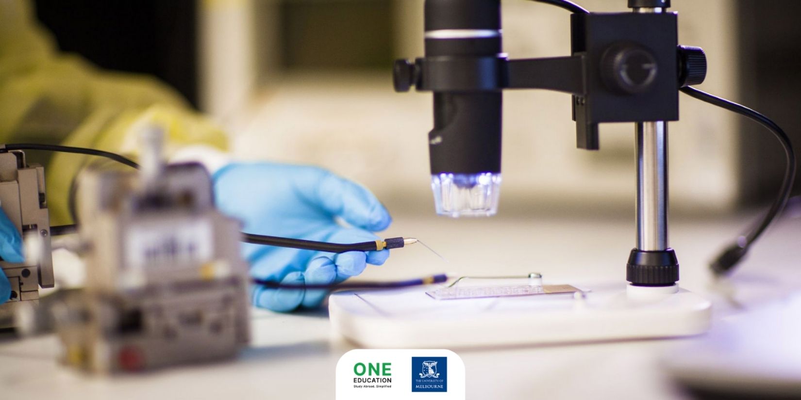 The University of Melbourne - Master of Biomedical Science Neuroscience