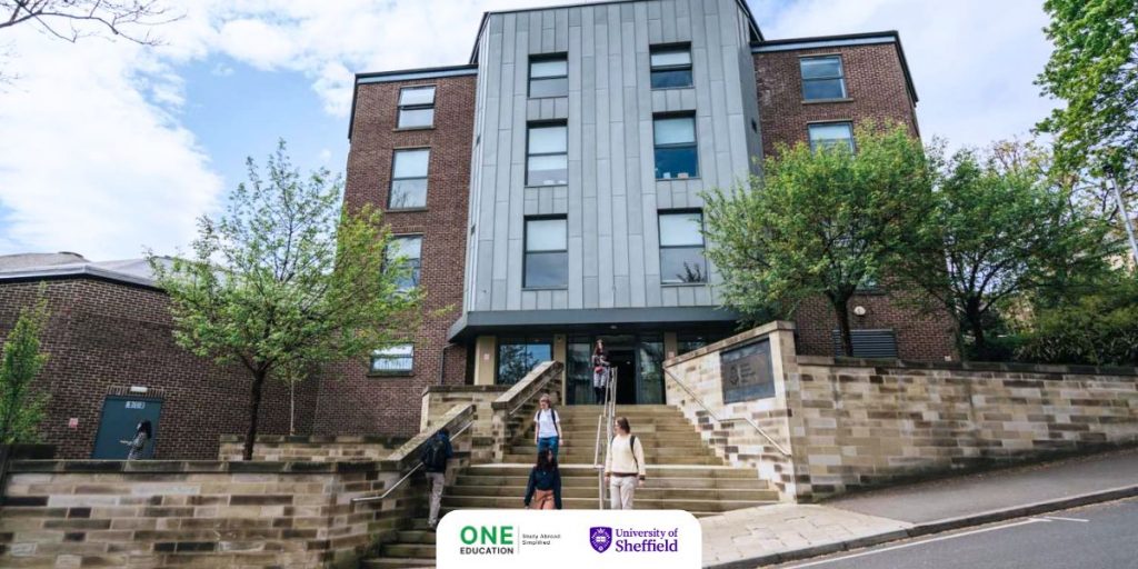 MSc Management - Sheffield