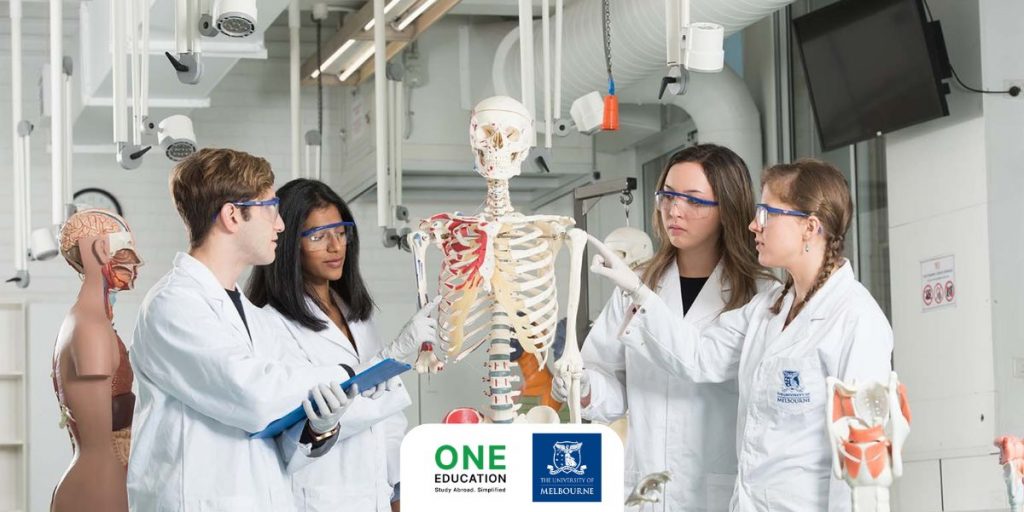 Bachelor of Biomedicine - University of Melbourne