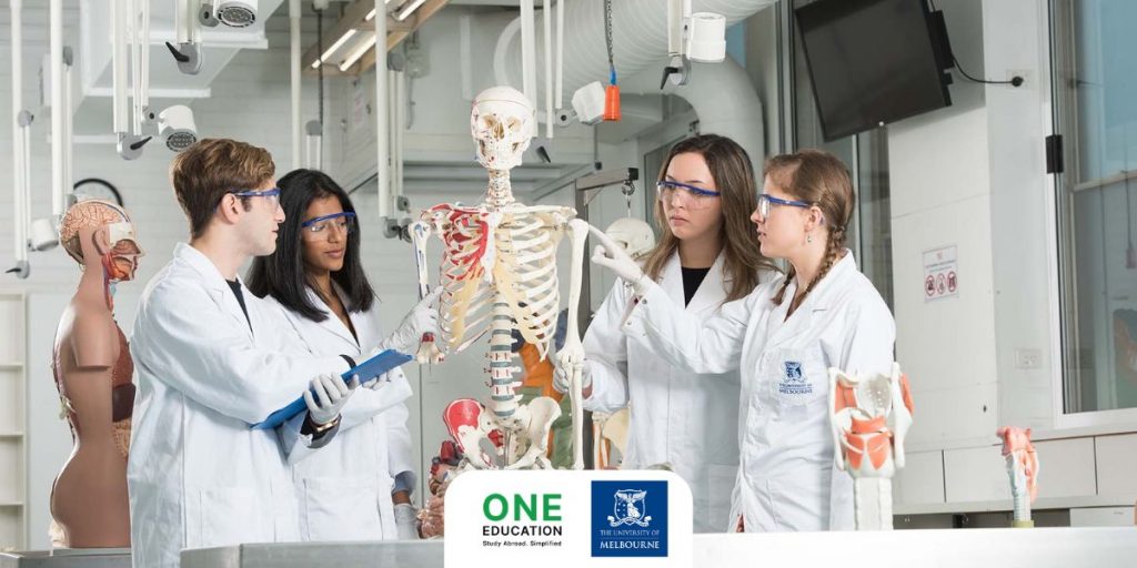 Bachelor of Biomedicine - University of Melbourne