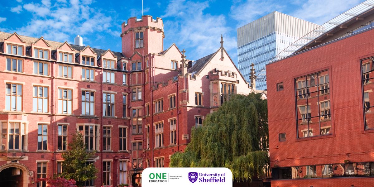 University of Sheffield