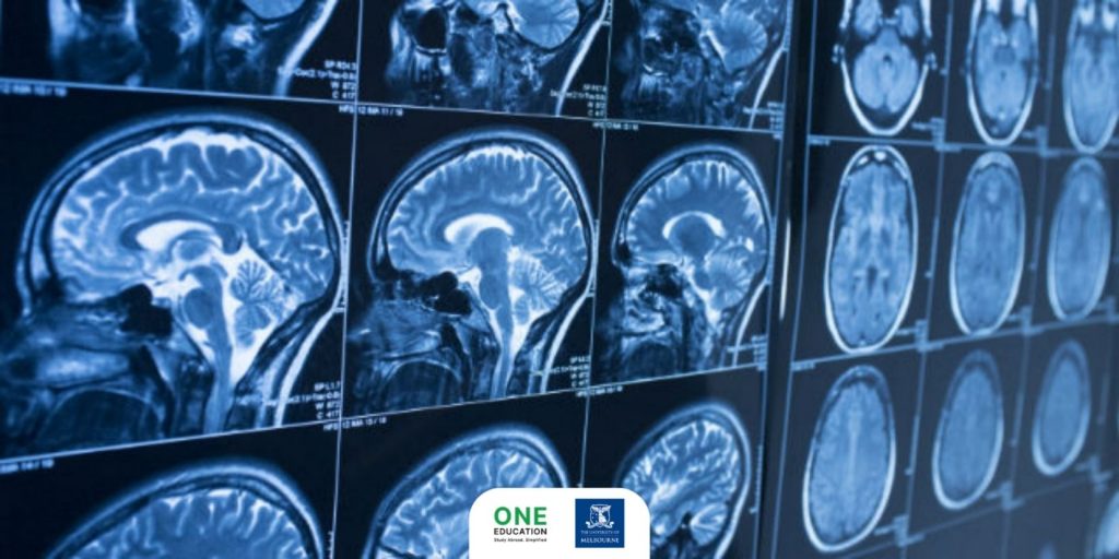The University of Melbourne - Bachelor of Science Neuroscience